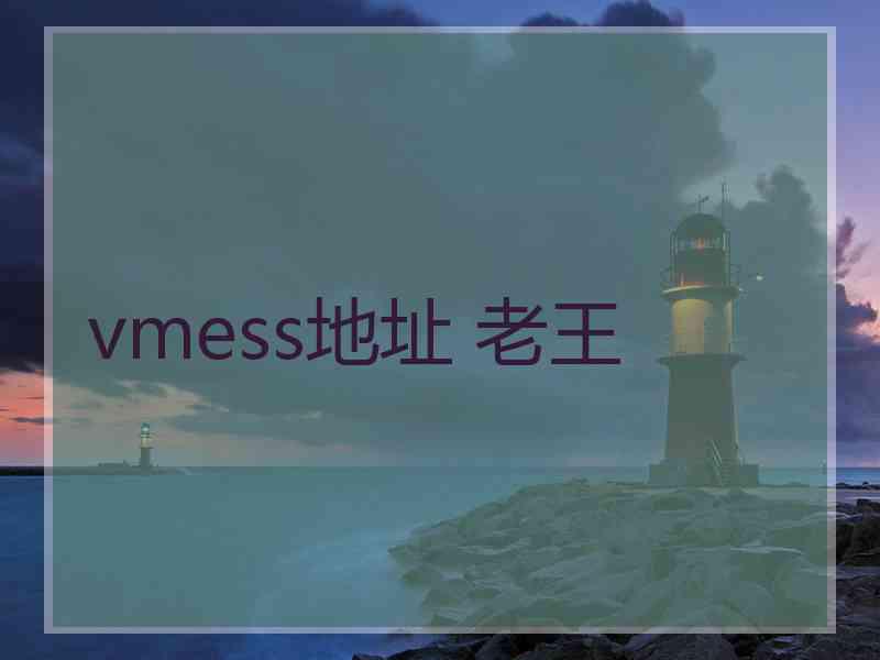 vmess地址 老王