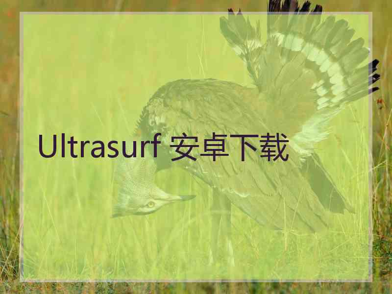 Ultrasurf 安卓下载