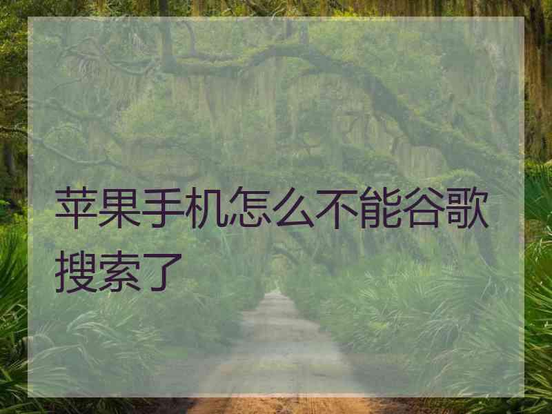 苹果手机怎么不能谷歌搜索了