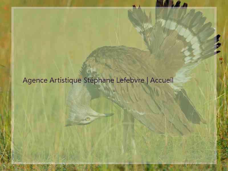 Agence Artistique Stéphane Lefebvre | Accueil