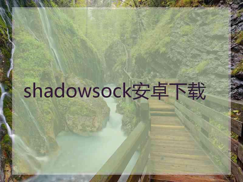 shadowsock安卓下载