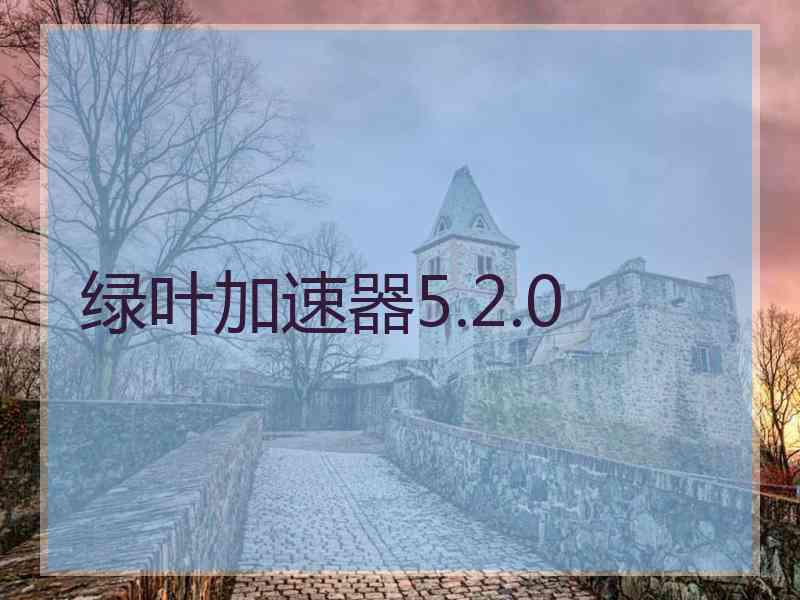 绿叶加速器5.2.0