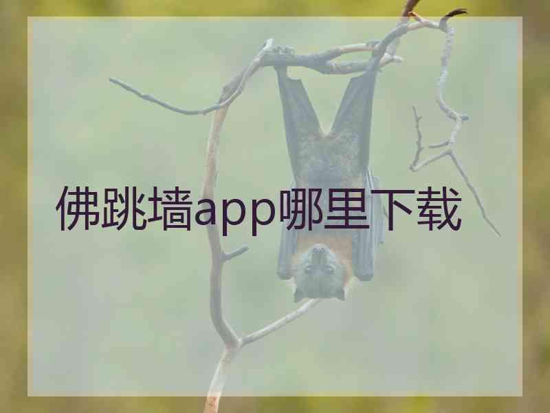 佛跳墙app哪里下载