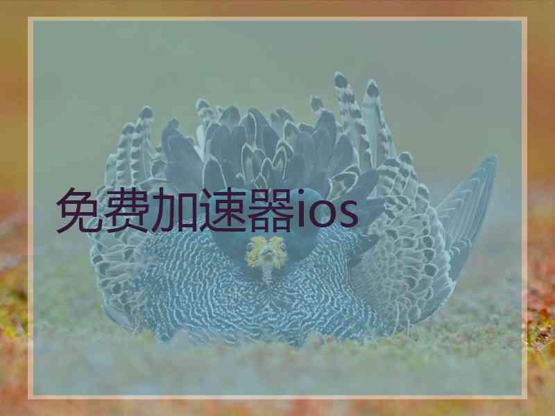 免费加速器ios