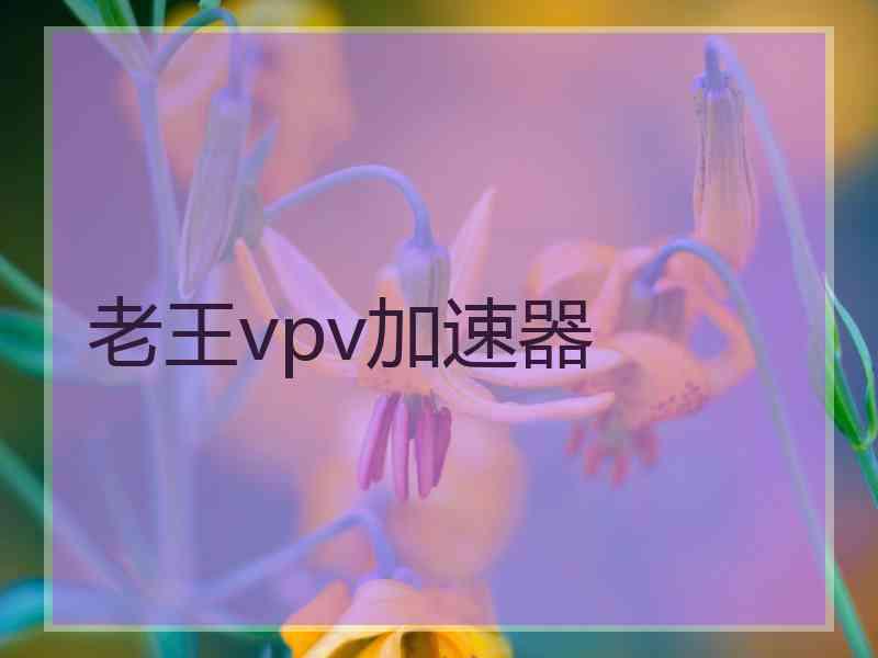 老王vpv加速器