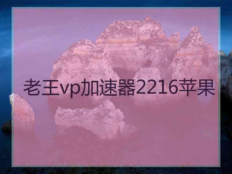 老王vp加速器2216苹果