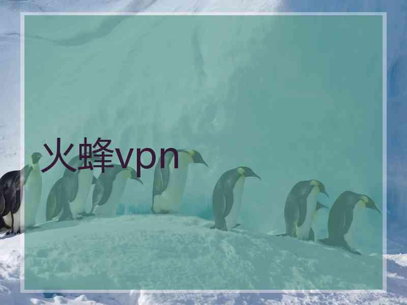 火蜂vpn