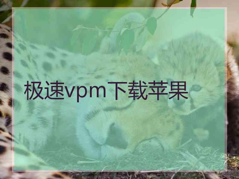 极速vpm下载苹果