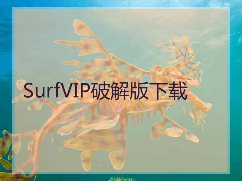 SurfVIP破解版下载