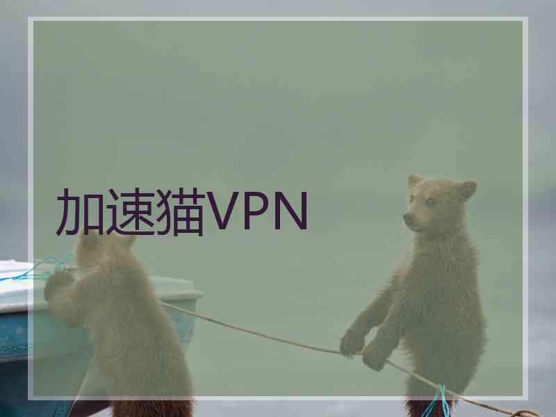 加速猫VPN