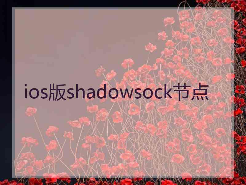 ios版shadowsock节点