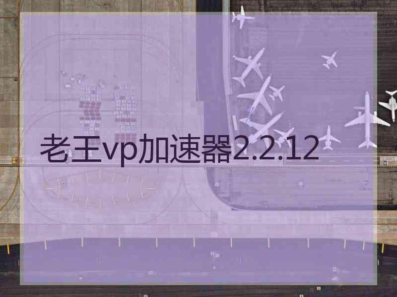 老王vp加速器2.2.12