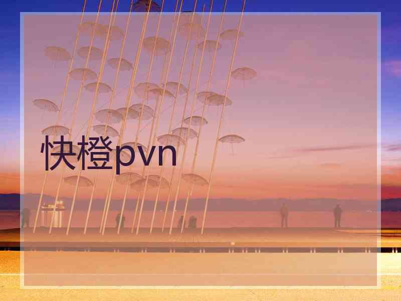 快橙pvn