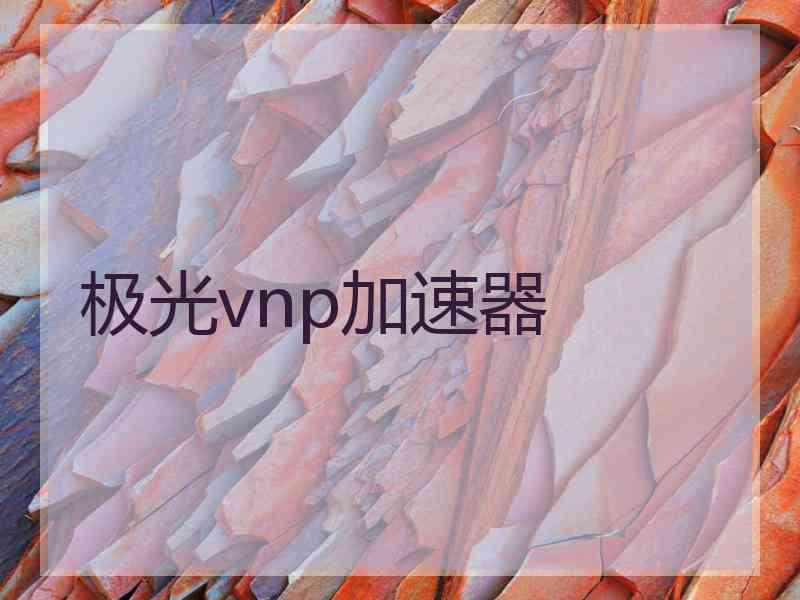 极光vnp加速器