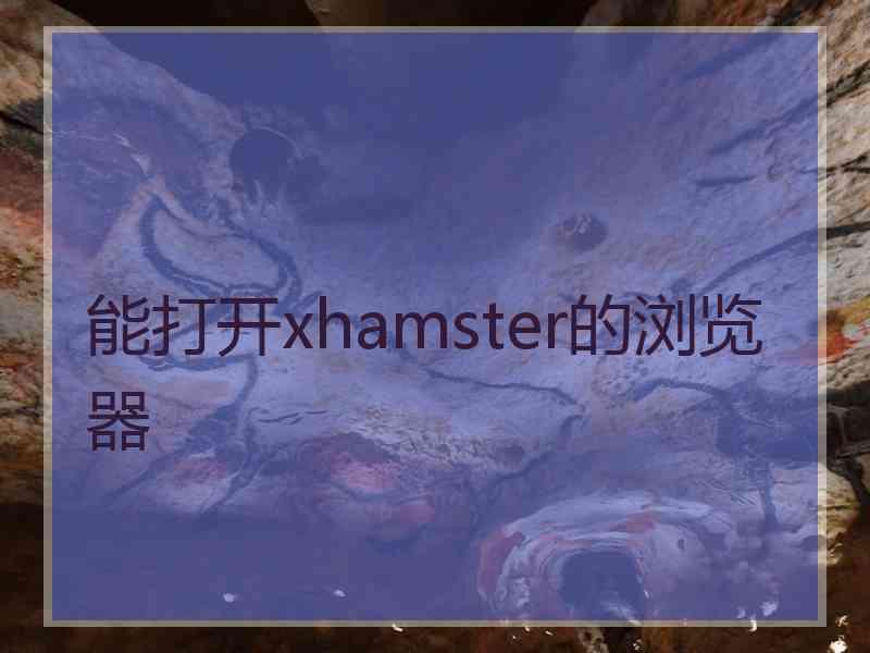 能打开xhamster的浏览器