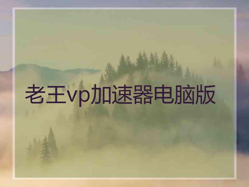 老王vp加速器电脑版