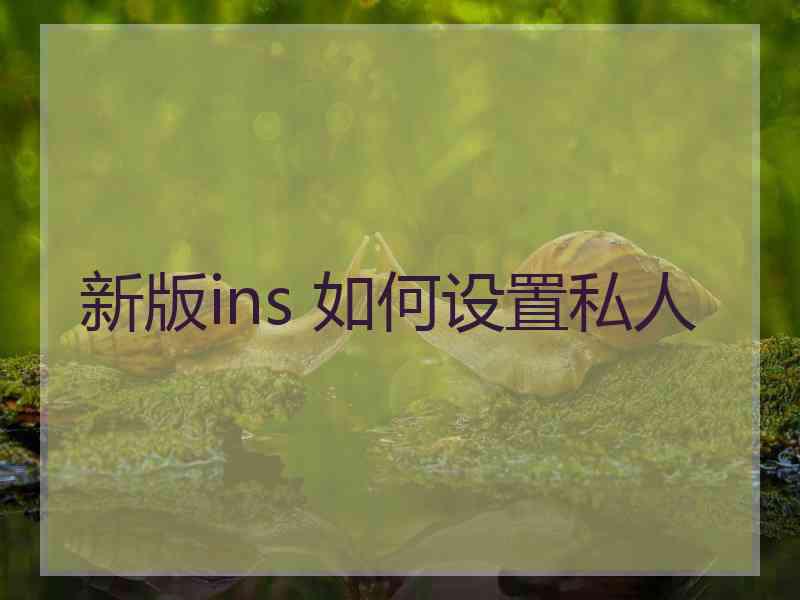 新版ins 如何设置私人