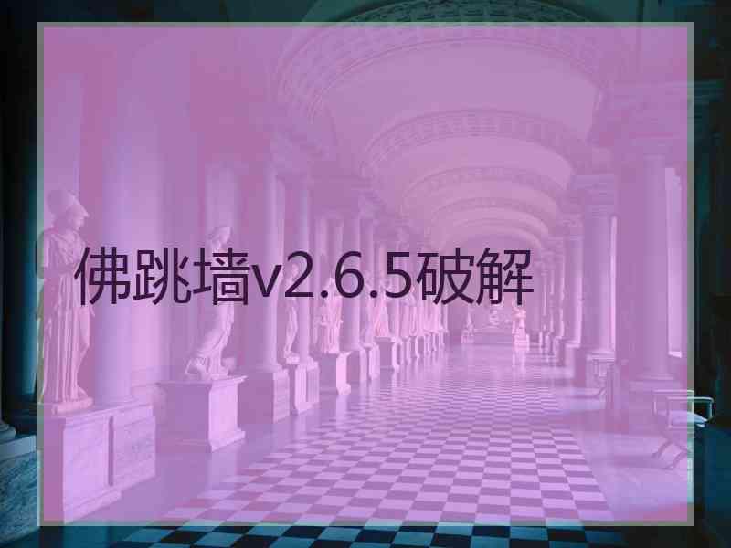 佛跳墙v2.6.5破解