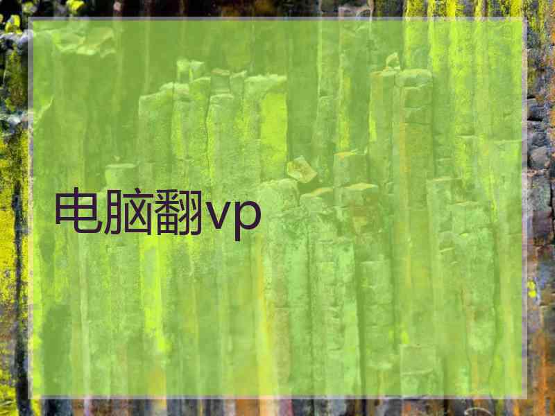 电脑翻vp