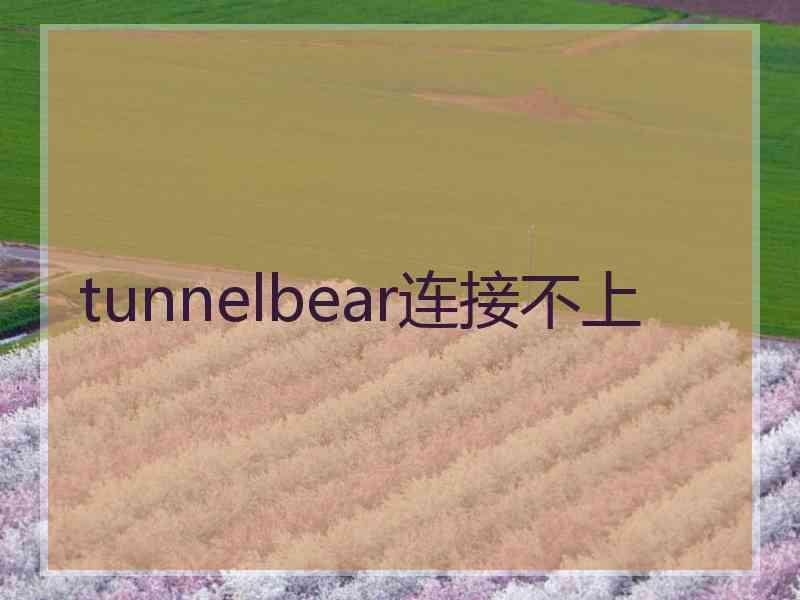 tunnelbear连接不上