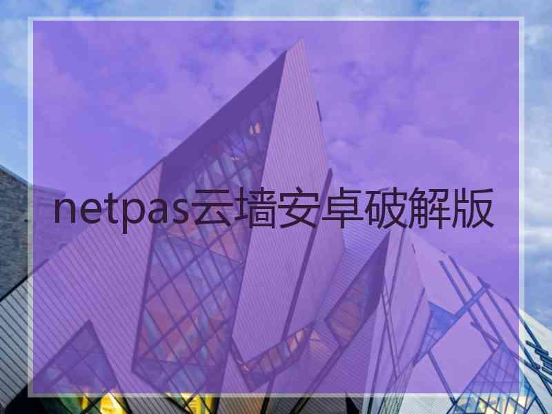 netpas云墙安卓破解版