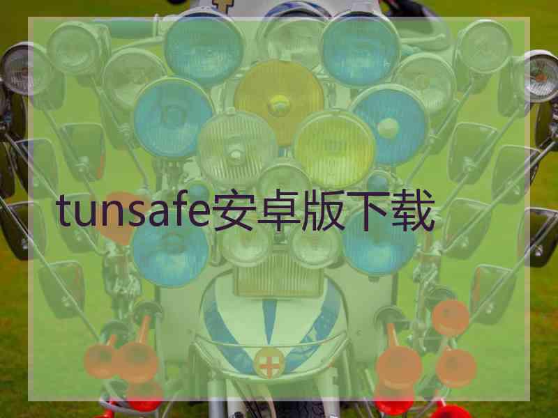 tunsafe安卓版下载