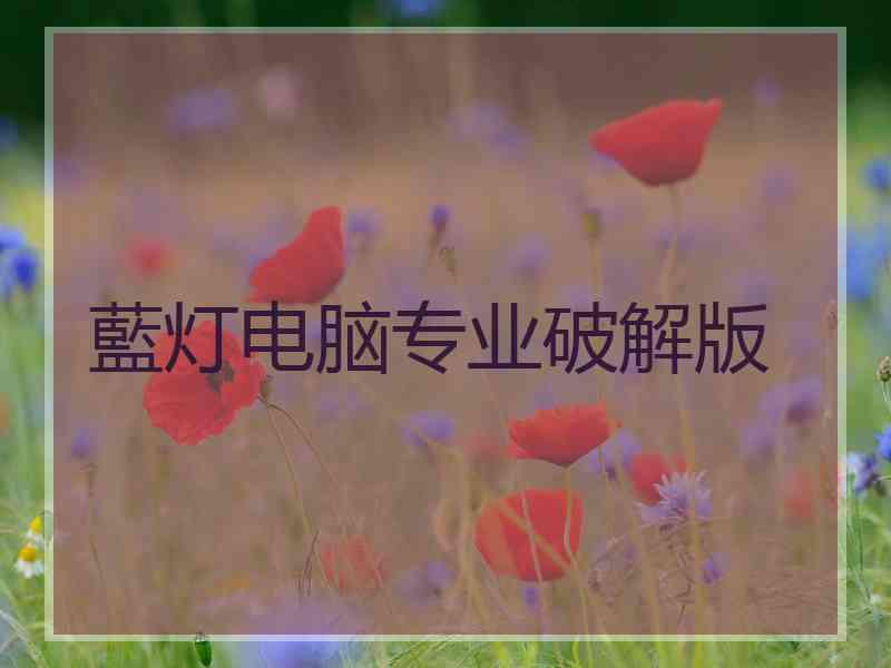 藍灯电脑专业破解版