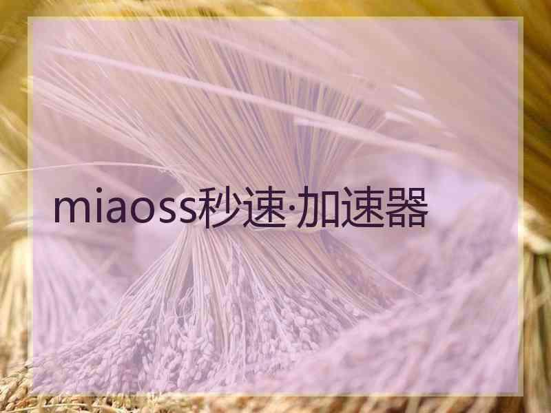 miaoss秒速·加速器