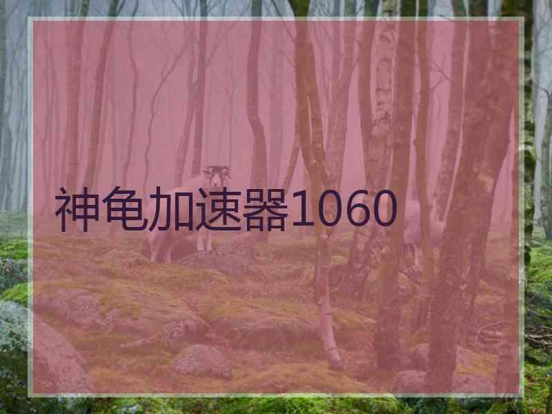 神龟加速器1060