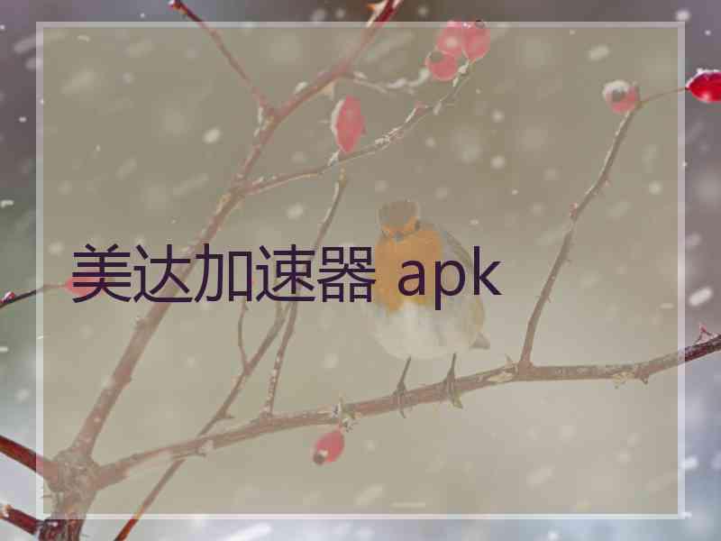 美达加速器 apk