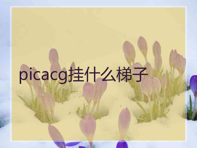 picacg挂什么梯子