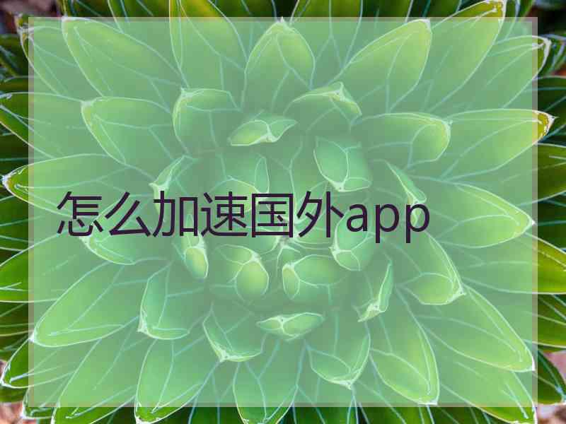 怎么加速国外app