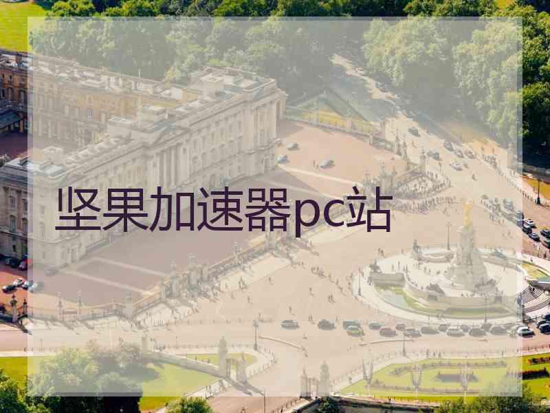 坚果加速器pc站