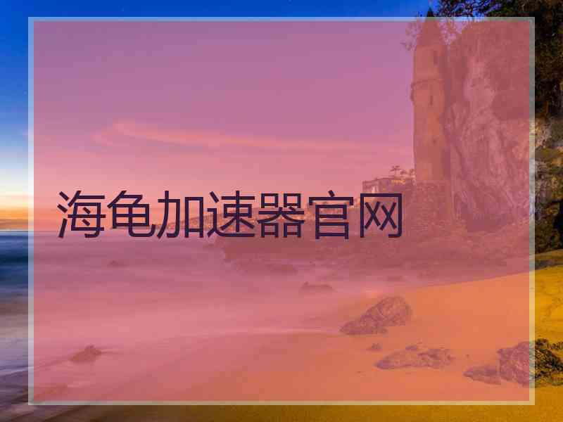 海龟加速器官网