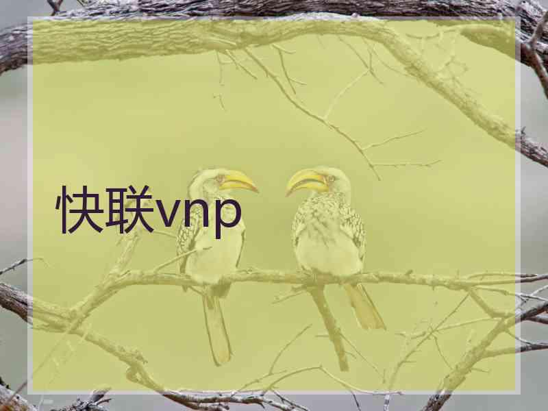 快联vnp