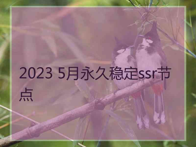 2023 5月永久稳定ssr节点