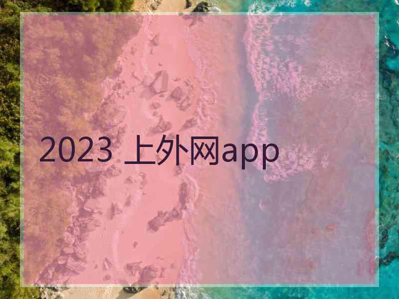 2023 上外网app