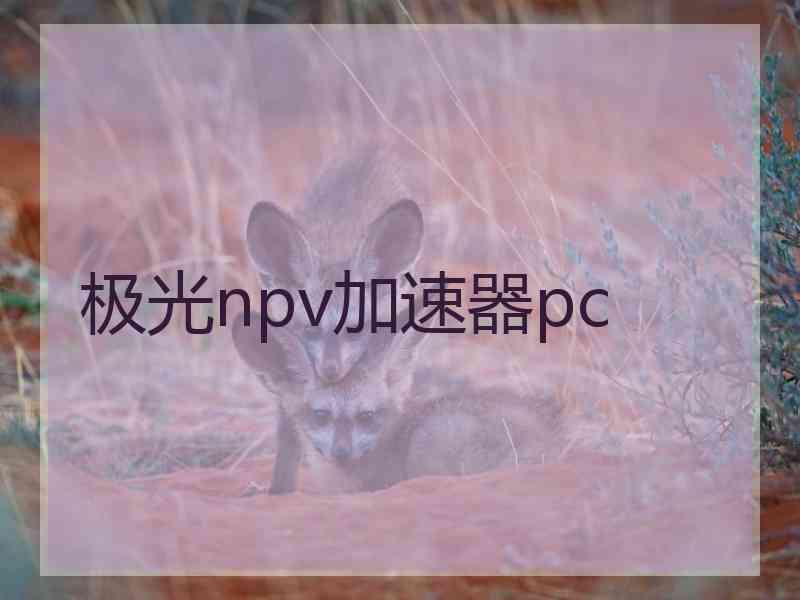 极光npv加速器pc