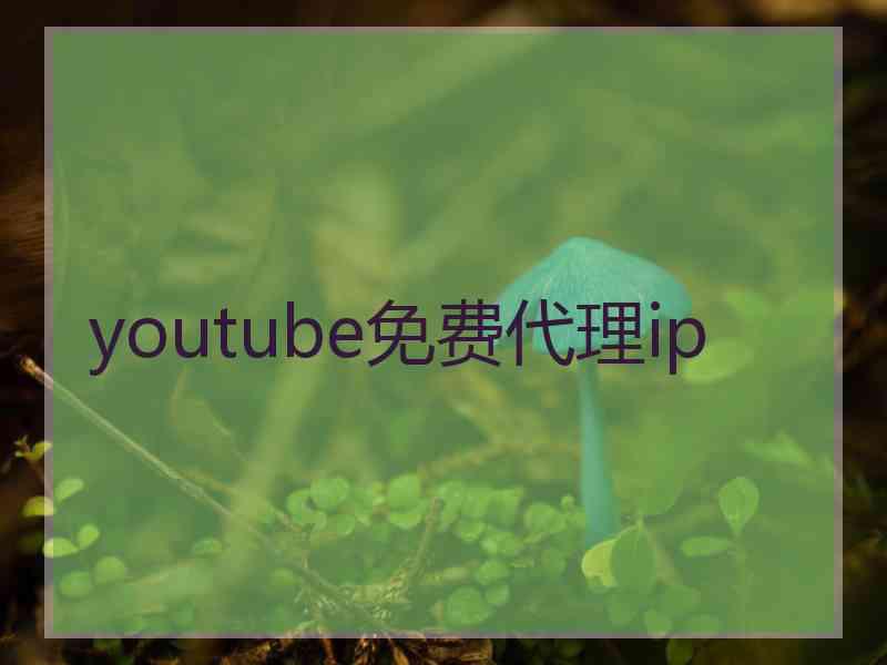 youtube免费代理ip