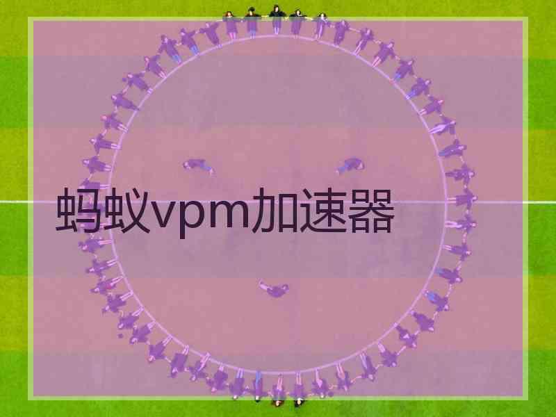 蚂蚁vpm加速器