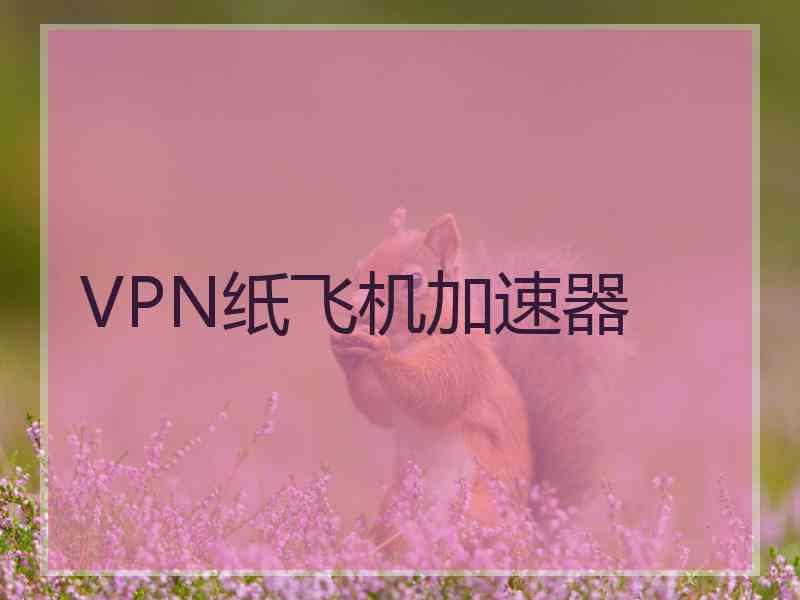 VPN纸飞机加速器