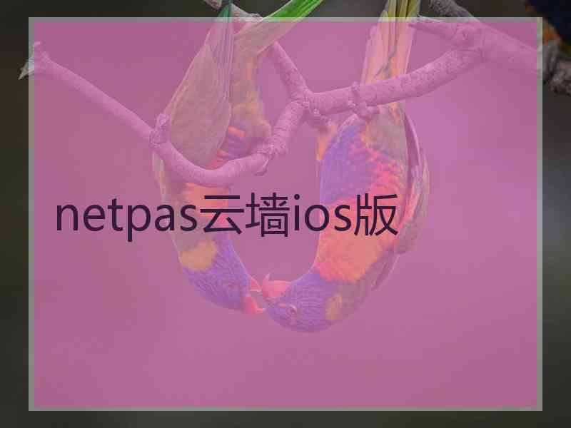 netpas云墙ios版