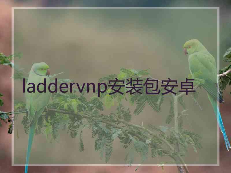 laddervnp安装包安卓