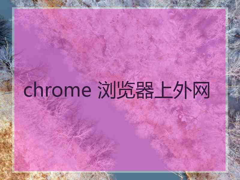 chrome 浏览器上外网