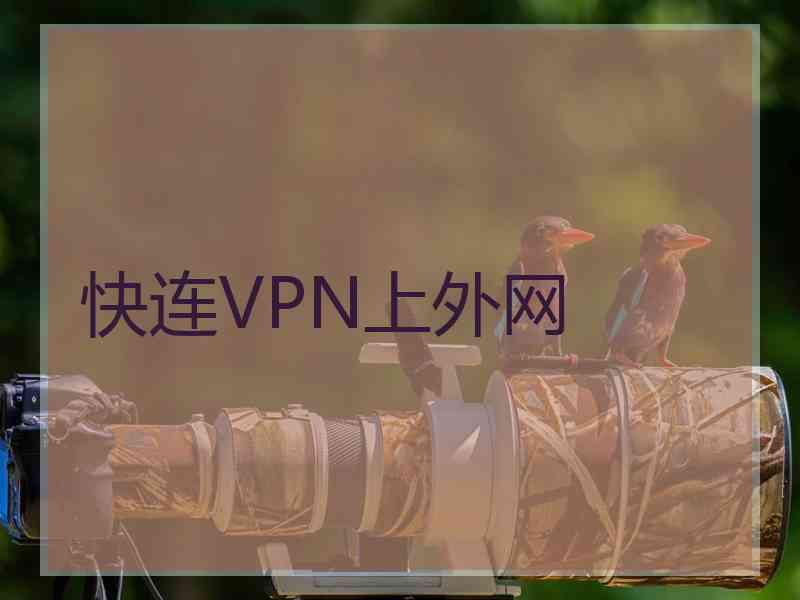 快连VPN上外网