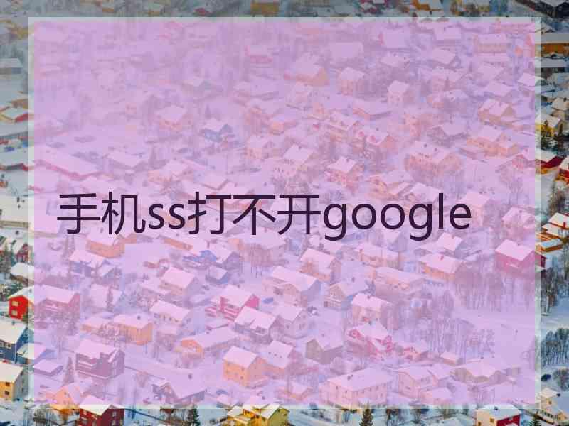 手机ss打不开google