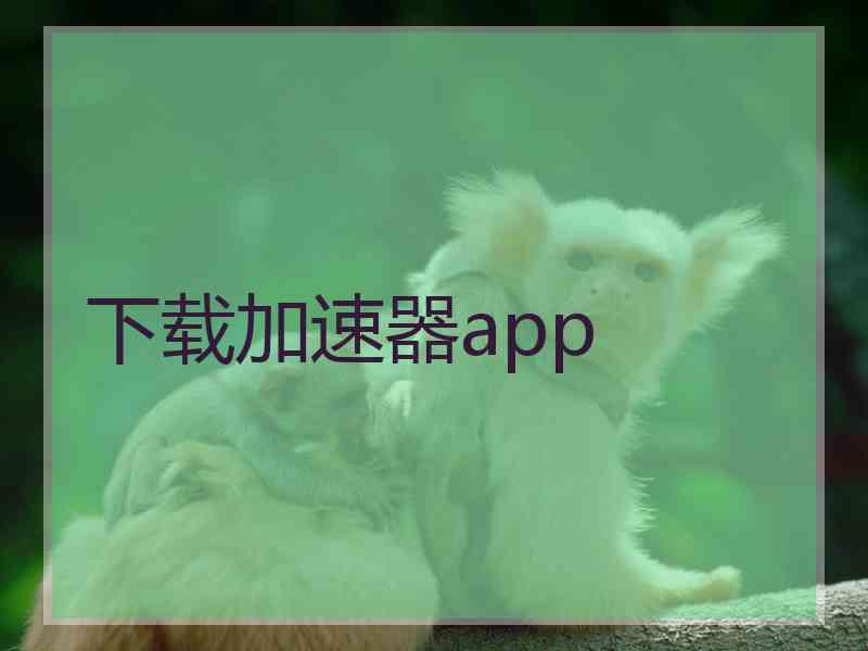 下载加速器app