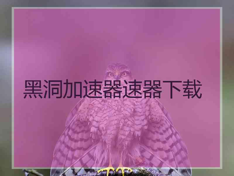 黑洞加速器速器下载