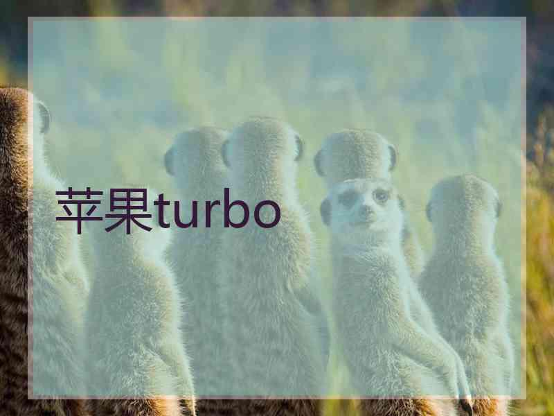 苹果turbo