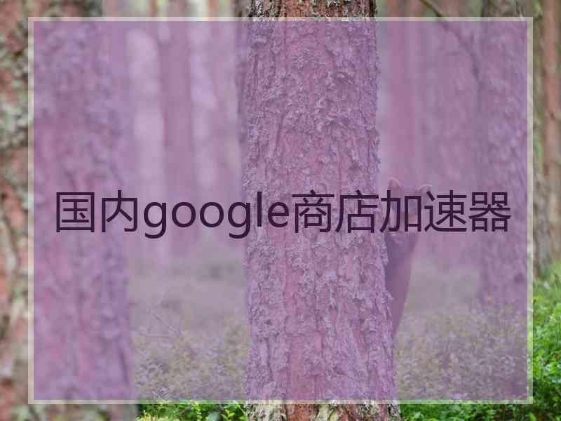 国内google商店加速器